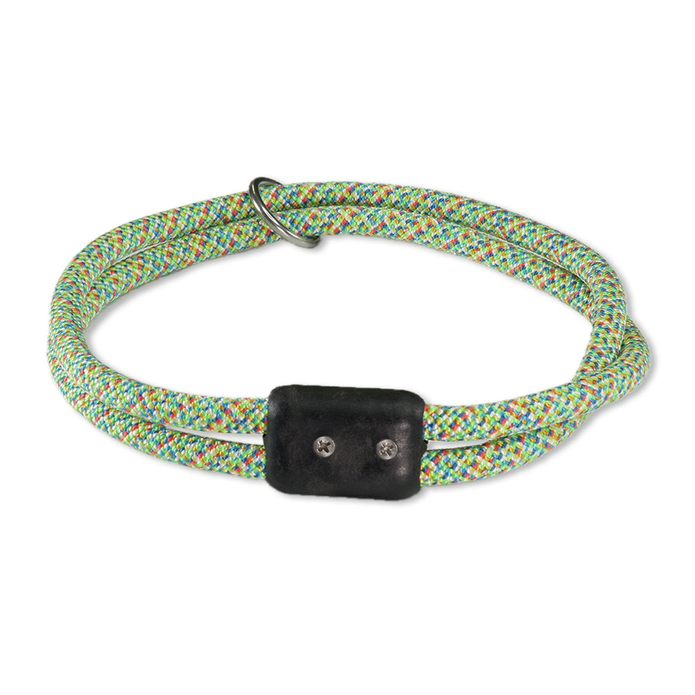 The Classic Collar
