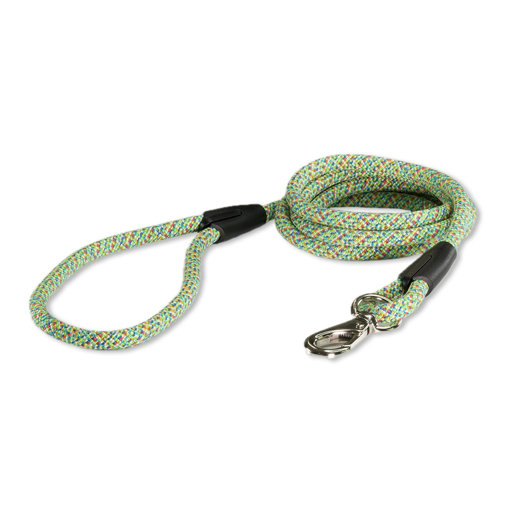 The Classic Leash