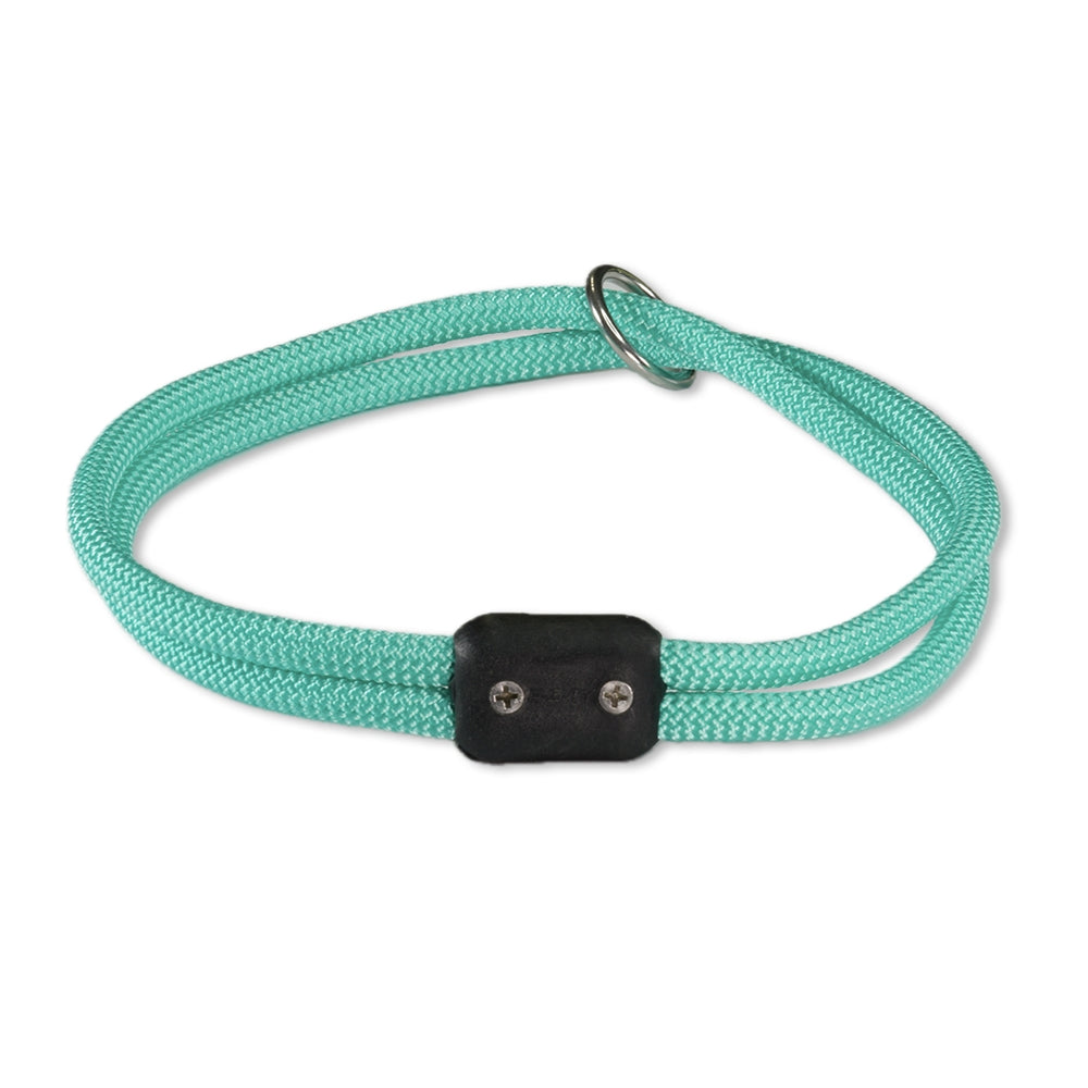 The Explorer Collar
