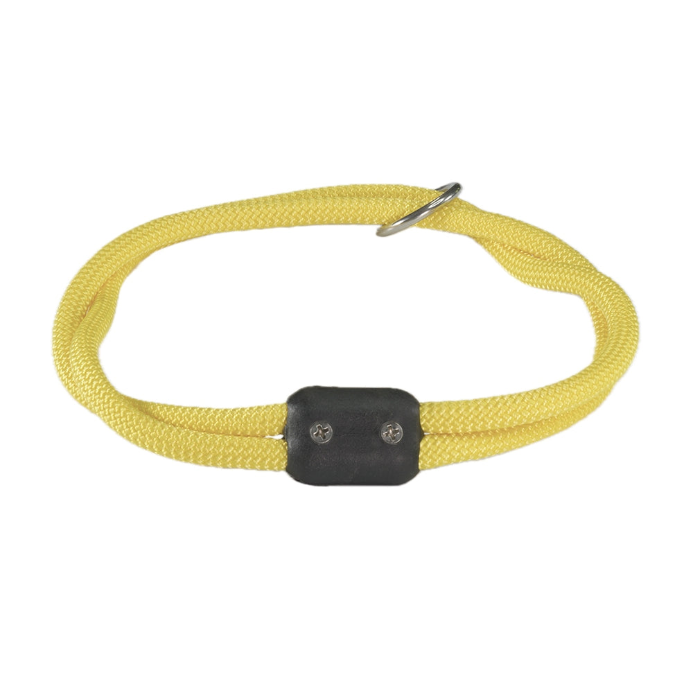 The Explorer Collar