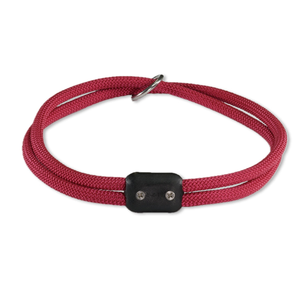 The Explorer Collar