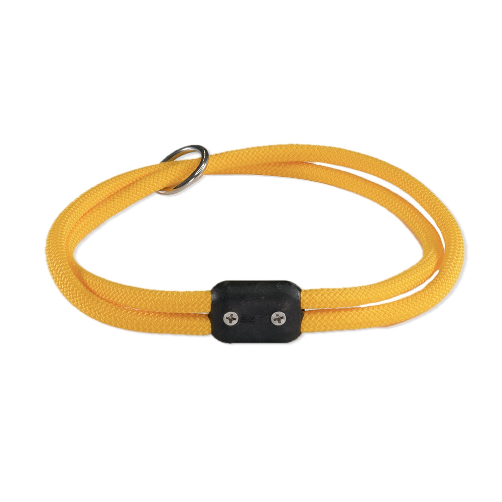The Explorer Collar