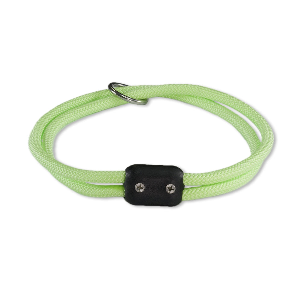 The Explorer Collar