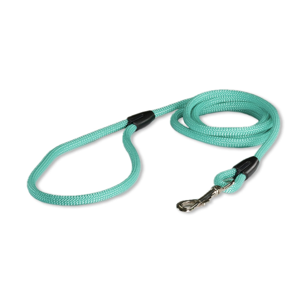 The Explorer Leash