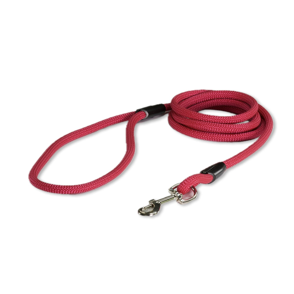 The Explorer Leash