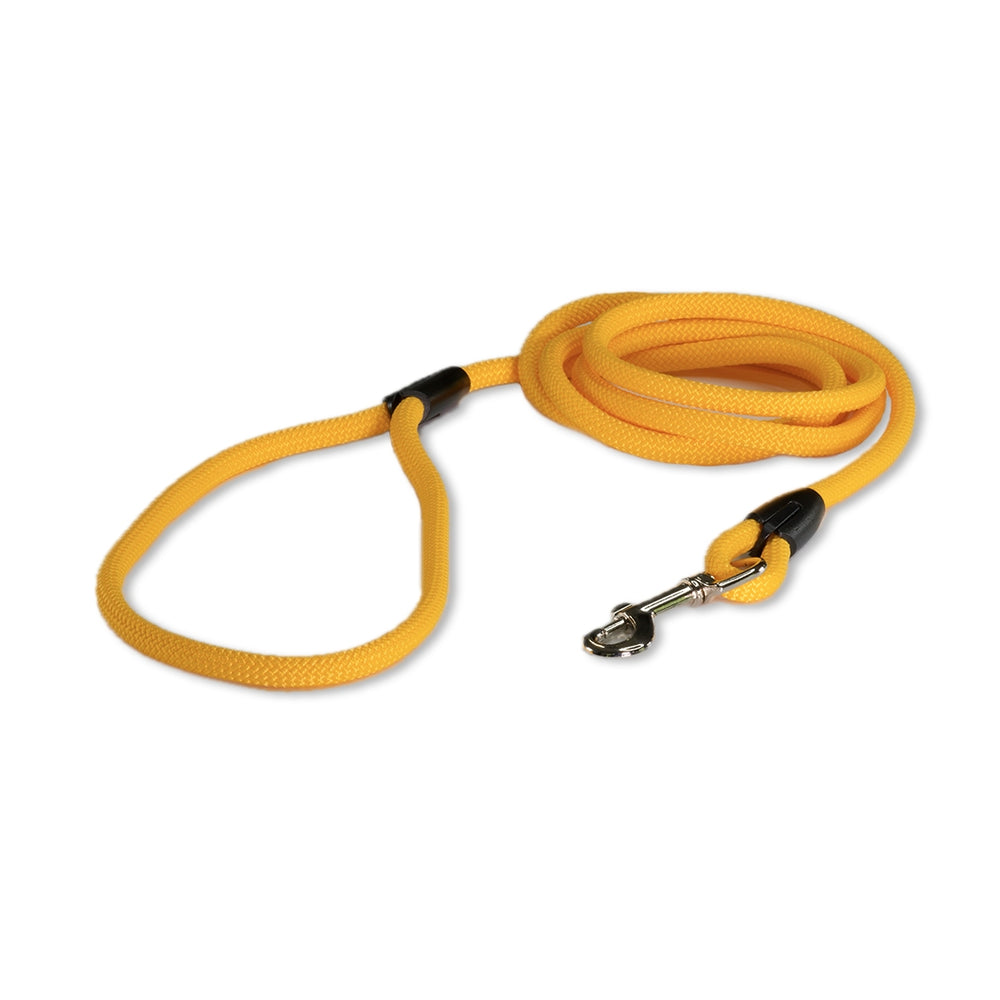The Explorer Leash