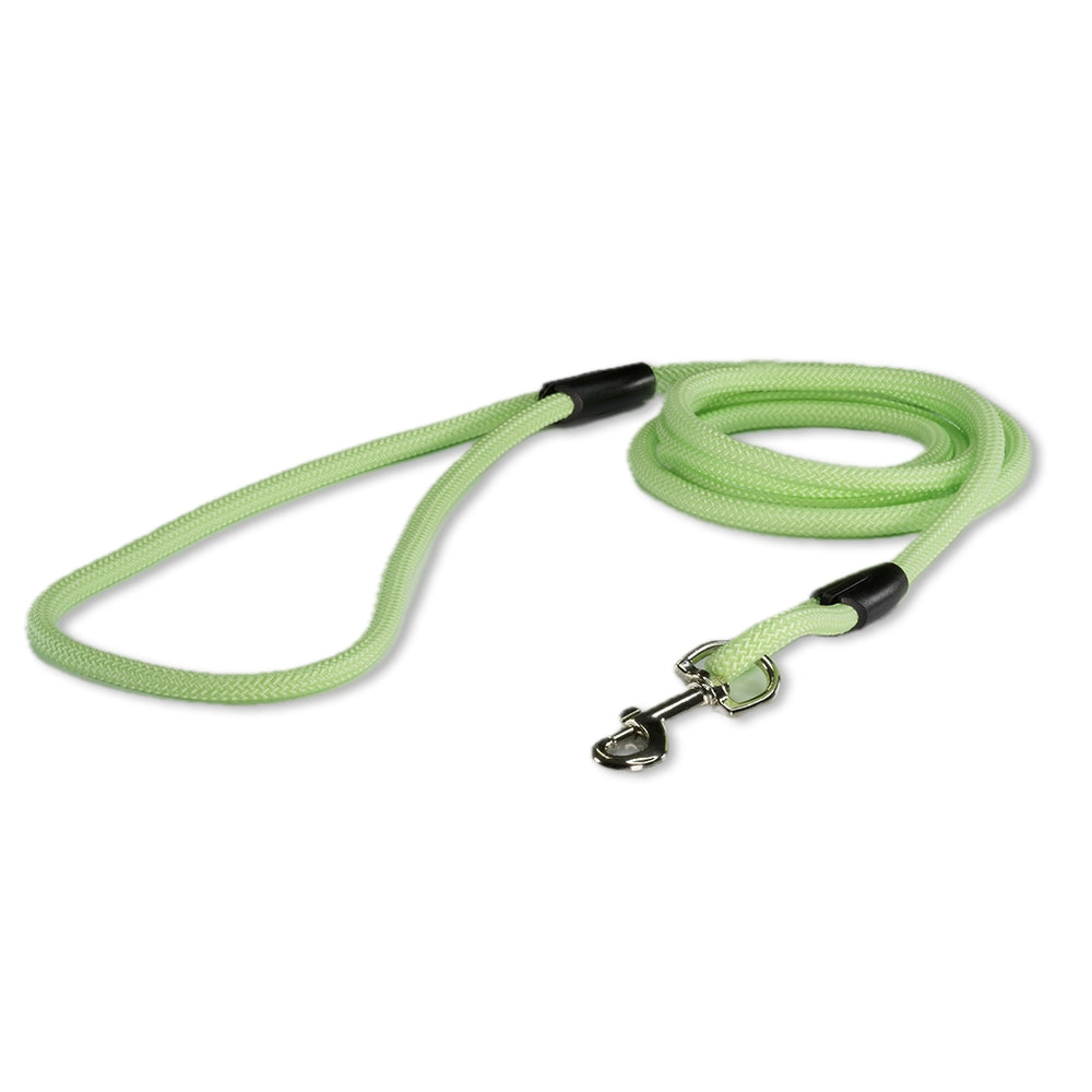 The Explorer Leash