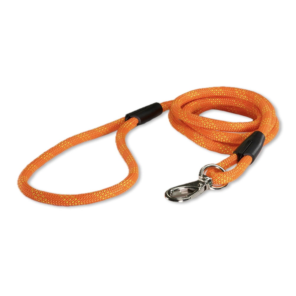 The Outrider Leash